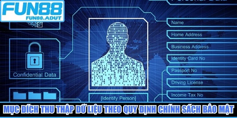 Mục đích thu thập dữ liệu theo quy định chính sách bảo mật