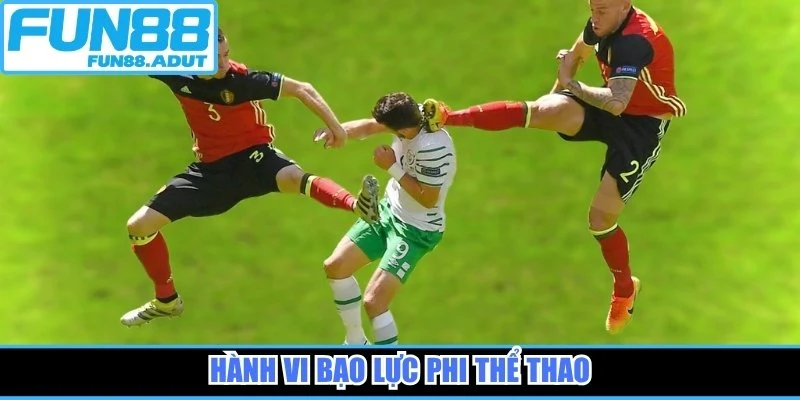 Hành vi bạo lực phi thể thao