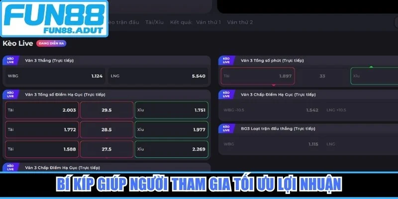 Bí kíp giúp người tham gia tối ưu lợi nhuận