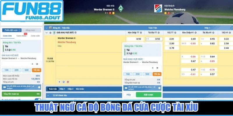Thuật ngữ cá độ bóng đá cửa cược tài xỉu