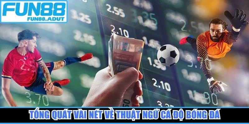 Tổng quát vài nét về thuật ngữ cá độ bóng đá